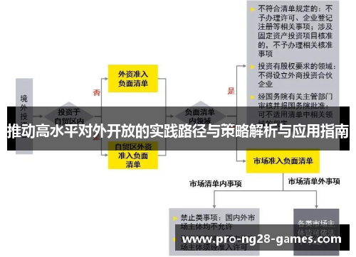 推动高水平对外开放的实践路径与策略解析与应用指南